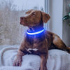 Picture of Flashseen LED Dog Collar,USB Rechargeable Light Up Dog Collar Lights,Adjustable Comfortable Soft Mesh Safety Dog Collar for Small,Medium,Large Dogs(Large, Royal Blue)