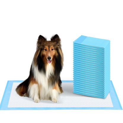 Picture of Super Absorbent Waterproof Dog and Puppy Pet Training Pad, Housebreaking Pet Pad, 40-Count Extra Middle-Size, 30’’X30’’, Blue