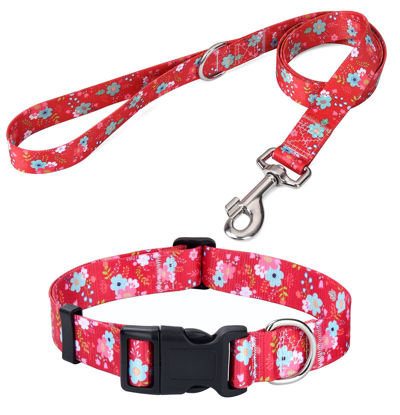 Picture of Mihqy Dog Collar and Leash Set with Bohemia Floral Tribal Geometric Patterns - Soft Ethnic Style Collar Adjustable for Small Medium Large Dogs(Red Floral Set,S)