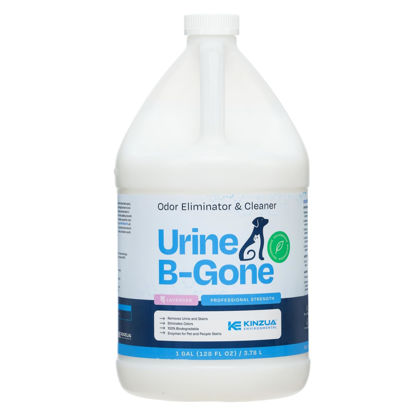 Picture of KINZUA ENVIRONMENTAL Urine B-Gone, Professional Enzyme Odor Eliminator & Pet Stain Remover, Human, Cat & Dog Urine Cleaner, Effective on Laundry, Carpets & More, Lavender Scent, 1 Gallon