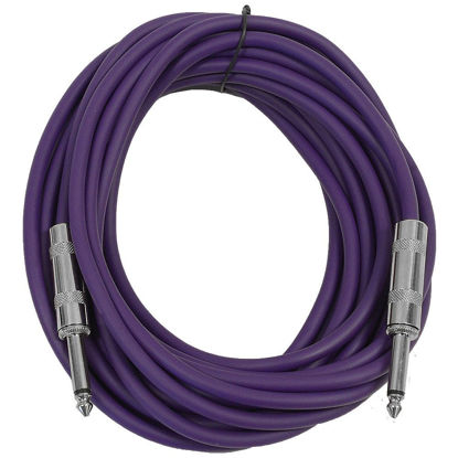 Picture of Seismic Audio - SASTSX-25 - 25 Foot TS 1/4" Guitar, Instrument, or Patch Cable Purple