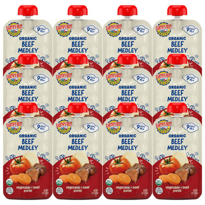 Picture of Earth's Best Vegetable + Beef Puree Organic Beef Medley 4oz Pouch (Pack of 12)