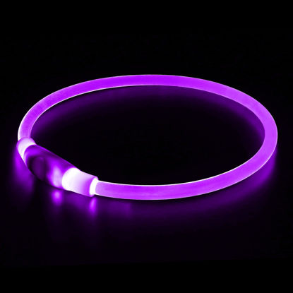 Picture of Light up Dog Collar, BSEEN USB Rechargeable Flash Dog Necklace Light, Pet Safety Collar Makes Your Beloved Dogs Be Seen at Night for Small Medium Large Dogs(Purple)
