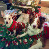 Picture of NACOCO Dog Snow Sweaters Snowman Sweaters Xmas Dog Holiday Sweaters New Year Christmas Sweater Pet Clothes for Small Dog and Cat(Snowman,XXL)