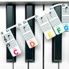 Picture of BEATBIT Piano Note Strips with Solfege (Do Re Mi…), Fit 61/54/49 Key Piano Learning, Removable Piano Keyboard Stickers