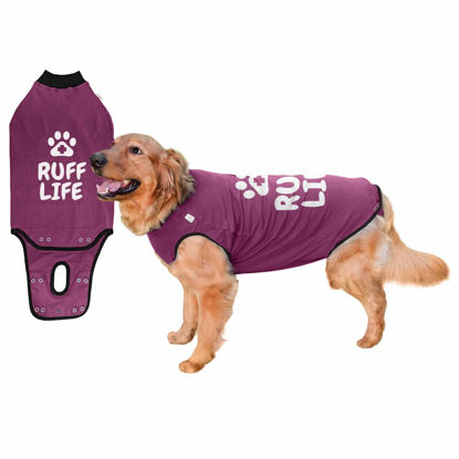 Picture of BellyGuard Recovery Suit for Dogs, After Surgery Dog Recovery Suit Female and Male, Soft Cotton Dog Surgery Suit Female Spay, Dog Surgical Recovery Suit Male Neuter, Comfy Surgical Onesie for Dogs.