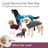 Picture of BellyGuard Recovery Suit for Dogs, After Surgery Dog Recovery Suit Female and Male, Soft Cotton Dog Surgery Suit Female Spay, Dog Surgical Recovery Suit Male Neuter, Comfy Surgical Onesie for Dogs.