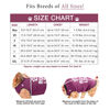 Picture of BellyGuard Recovery Suit for Dogs, After Surgery Dog Recovery Suit Female and Male, Soft Cotton Dog Surgery Suit Female Spay, Dog Surgical Recovery Suit Male Neuter, Comfy Surgical Onesie for Dogs.