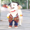 Picture of NACOCO Pet Dog Costume Pirates of The Caribbean Style cat Costumes (XS) Brown