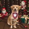 Picture of ADOGGYGO Christmas Dog Tuxedo Bandana, Red Plaid Dog Chritstmas Tux with Bowtie Adjustable Dog Christmas Formal Costume for Large and Extra Large Dogs Pets (XL, Christmas)