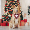 Picture of ADOGGYGO Christmas Dog Tuxedo Bandana, Red Plaid Dog Chritstmas Tux with Bowtie Adjustable Dog Christmas Formal Costume for Large and Extra Large Dogs Pets (XL, Christmas)