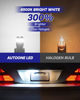 Picture of AUTOONE 194 LED License Plate Light 300% High Brightness T10 168 2825 W5W Bulbs for Dome Map Door Courtesy Interior Car 6500K White, Pack of 2