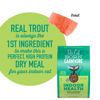 Picture of Tiki Cat Born Carnivore High Protein, Indoor Health, Trout, Menhaden Fish Meal Recipe, Grain-Free Baked Kibble to Maximize Nutrients, Dry Cat Food, 3 lbs. Bag