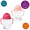 Picture of b.box Sippy Cup with Weighted Straw (2-pack). Drink from any Angle, Leak Proof, Easy Grip. BPA Free, Dishwasher Safe. For Babies 6m+ to Toddlers (raspberry + tutti fruitti, 8oz)