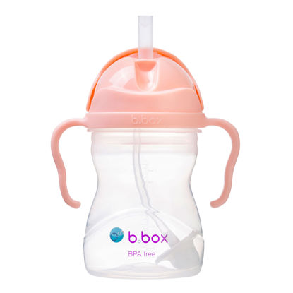 Picture of b.box Sippy Cup with Weighted Straw. Drink from any Angle, Leak Proof, Spill Proof, Easy Grip. BPA Free, Dishwasher Safe. For Babies 6m+ to Toddlers (Tutti Fruitti, 8oz)