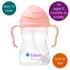 Picture of b.box Sippy Cup with Weighted Straw. Drink from any Angle, Leak Proof, Spill Proof, Easy Grip. BPA Free, Dishwasher Safe. For Babies 6m+ to Toddlers (Tutti Fruitti, 8oz)