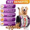 Picture of (2 Pack) Dog Multivitamin Chewable with Glucosamine - Dog Vitamins and Supplements - Senior & Puppy Multivitamin for Dogs - Pet Joint Support Health - Immunity - Mobility - Energy - 240 Chews