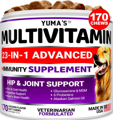 Picture of Dog Multivitamin Chewable with Glucosamine - Dog Vitamins and Supplements - 170 Treats - Senior & Puppy Multivitamin for Dogs - Hip & Joint Support - Immune Health, Skin, Heart, Digestion, Probiotics