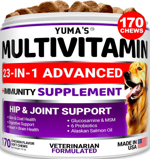 Picture of Dog Multivitamin Chewable with Glucosamine - Dog Vitamins and Supplements - 170 Treats - Senior & Puppy Multivitamin for Dogs - Hip & Joint Support - Immune Health, Skin, Heart, Digestion, Probiotics