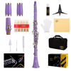Picture of Glory GLY-CLAPUR Professional Ebonite Bb Clarinet with 10 Reeds, Stand, Hard Case, Cleaning Cloth, Cork Grease, Mouthpiece Brush and Pad Brush,Purple/Silver