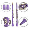 Picture of Glory GLY-CLAPUR Professional Ebonite Bb Clarinet with 10 Reeds, Stand, Hard Case, Cleaning Cloth, Cork Grease, Mouthpiece Brush and Pad Brush,Purple/Silver