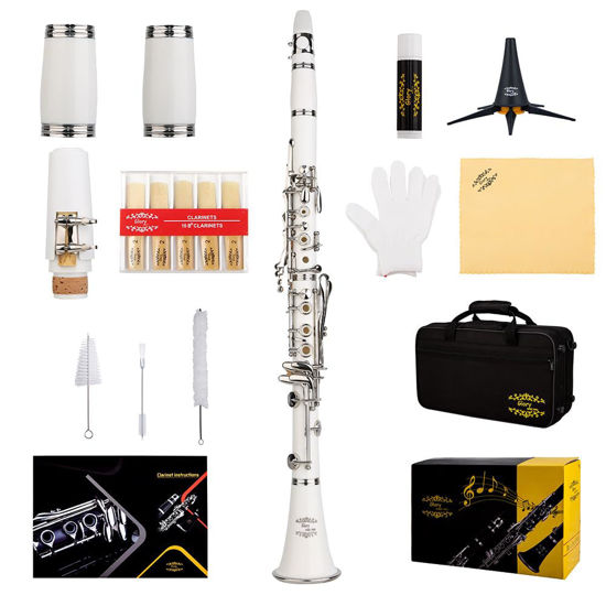Picture of Glory GLYCLAWH Professional Ebonite Bb Clarinet with 10 Reeds, Stand, Hard Case, Cleaning Cloth, Cork Grease, Mouthpiece Brush and Pad Brush,White/Silver