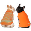 Picture of KYEESE 2Pack Dog Sweater Turtleneck Dog Sweaters for Small Dogs Male Stretchy Dog Clothes Soft Dachshund Clothes Pullover Dog Sweatshirt Warm Dog Coats Small Dog Sweaters