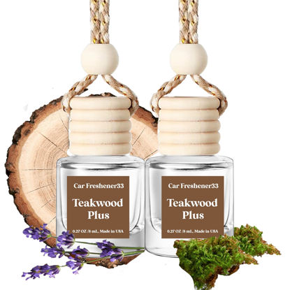 Picture of Burst Bird Car Air Freshener Hanging,Cute Air Diffuser for Car, Long Lasting Car Air Fresheners, Car Fresheners for Women, Made in USA(2 Pack)