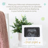 Picture of Tiny Ideas Love at First Sight Sonogram Picture Frame, Gender Neutral Ultrasound Keepsake, Ideal Pregnancy Gift, Baby Shower and Nursery Decor, 4” x6” Photo Insert, Gold, Silver And White