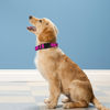 Picture of PWOD Reflective Dog Collar, Adjustable Soft Neoprene Padded Nylon Pet Collars with Buckle for Puppy and Small Dogs, Cats,Rose Red,XS