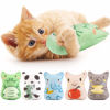 Picture of Dorakitten Catnip Toys for Indoor Cats - 5PCS Plush Cat Chew Toys Teething Interactive Catnip Filled Kitten Toy Soft Pet Toy (Animal Shapes)