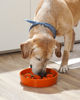 Picture of LE TAUCI Dog Bowls Slow Feeder Ceramic, 3 Cups Dog Feeder Dog Food Bowl, Slow Bowl, Puppy Bowl, 9.5 Inch Puzzle Feeders, Sun Orange