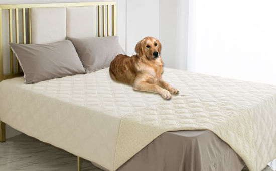 Picture of Ameritex Waterproof Dog Bed Cover Pet Blanket with Anti-Slip Back for Furniture Bed Couch Sofa