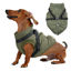 Picture of JoyDaog Dog Jacket with Harness,Fleece Lined Warm Puppy Coat for Winter,Soft Windproof Medium Dog Vest,Green L