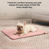 Picture of BALANCE Dog Crate Pad, Dog Foam Crate Mat Kennel Pad, Washable Water-Resistant Pet Bed Flat Dog Cage Mat for Medium Dogs