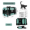 Picture of Small Animal Travel, Carrier for Hedgehog Rat Parrot Bird Guinea Pig, Lizards Carrier, Soft Sided Travel Carrier Portable Guinea Pig Travel Carrier Up to 10 Lbs (15 * 10 * 10, Green)