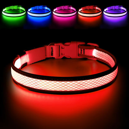 Picture of LED Dog Collar, Light Up Dog Collar USB Rechargeable, Brightest Dog Lights for Night Walking, Adjustable Dog Collar Light for Dog Safety(Large, Ruby Red)