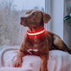 Picture of LED Dog Collar, Light Up Dog Collar USB Rechargeable, Brightest Dog Lights for Night Walking, Adjustable Dog Collar Light for Dog Safety(Large, Ruby Red)