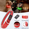 Picture of LED Dog Collar, Light Up Dog Collar USB Rechargeable, Brightest Dog Lights for Night Walking, Adjustable Dog Collar Light for Dog Safety(Large, Ruby Red)