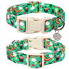 Picture of DOGWONG St. Patrick's Day Dog Collar, Lucky Clover Shamrock Green Dog Collar Soft Durable Adjustable Costume Bright Lucky Charm Puppy Collar for Small Medium Large Dog