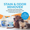 Picture of KINZUA ENVIRONMENTAL Urine B-Gone, Professional Enzyme Odor Eliminator & Pet Stain Remover, Human, Cat & Dog Urine Cleaner, Effective on Laundry, Carpets & More, Citrus Scent, 1 Gallon