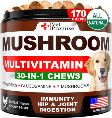 Picture of Mushroom for Dogs - 170 Chews - Turkey Tail - Mushroom Supplement for Dogs - Lions Mane - Reishi - Immunity Support Multivitamin Vitamins - Joint Health - Energy - Gut - Skin - Made in USA