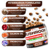 Picture of Mushroom for Dogs - 170 Chews - Turkey Tail - Mushroom Supplement for Dogs - Lions Mane - Reishi - Immunity Support Multivitamin Vitamins - Joint Health - Energy - Gut - Skin - Made in USA