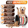 Picture of Mushroom for Dogs - 170 Chews - Turkey Tail - Mushroom Supplement for Dogs - Lions Mane - Reishi - Immunity Support Multivitamin Vitamins - Joint Health - Energy - Gut - Skin - Made in USA