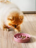 Picture of LE TAUCI Ceramic Slow Feeder Dog Bowls Small Breed, 0.6 Cups Dog Food Dish for Fast Eaters, Puzzle Bowl for Small Dogs and Cats,Pink