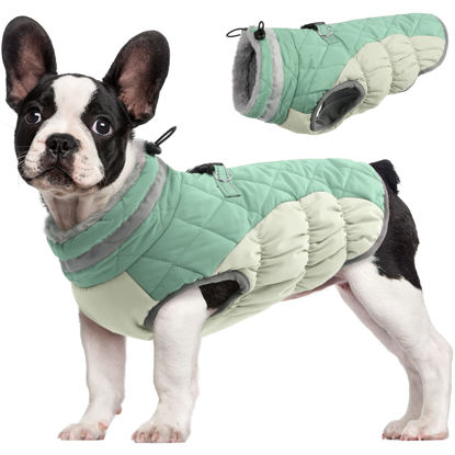 Picture of FUAMEY Dog Winter Jacket,Dog Cold Weather Coats Paded Dog Vest with Harness Built in Pet Warm Clothes Dog Apparel with Back Zipper Dog Water Resistant Coat for Small Medium Large Dogs Mint Green S
