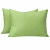 Picture of NTBAY Zippered Toddler Pillowcases Set of 2, 100% Brushed Microfiber 13x18 Pillowcases, Super Soft and Cozy Travel Kids Nursery Pillow Cases, 13x18 Inches, Sage Green
