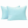 Picture of NTBAY Zippered Toddler Pillowcases Set of 2, 100% Brushed Microfiber 13x18 Pillowcases, Super Soft and Cozy Travel Kids Nursery Pillow Cases, 13x18 Inches, Aqua