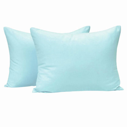 Picture of NTBAY Zippered Toddler Pillowcases Set of 2, 100% Brushed Microfiber 13x18 Pillowcases, Super Soft and Cozy Travel Kids Nursery Pillow Cases, 13x18 Inches, Aqua