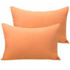 Picture of NTBAY Microfiber Toddler Pillowcases with Envelope Closure, 2 Pack 100% Brushed Microfiber Super Soft Travel Kids Nursery Pillow Cases, 14"x20" Fits Pillows Sized 12"x16" 13"x18" 14"x19", Tan